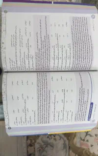 هوش کمپلکس