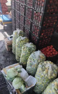 لیموترش ۱۹۵ هزار تومان