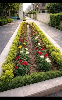 فروش گل و گیاه و درخت با کاشت باغبان حرفه ای