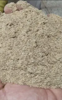 سبوس برنج