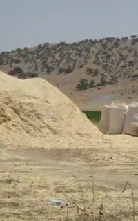 کاه کاه‌کوب شده