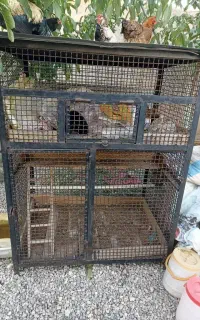 فروش قفس دو طبقه