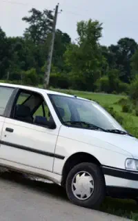 rd کاربراتور مدل 81