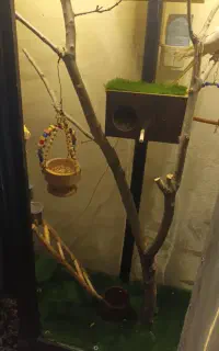 فروش قفس بوفه ای
