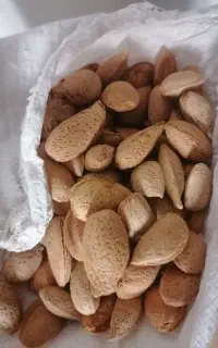 بادام تازه درجه 1 شهرکرد