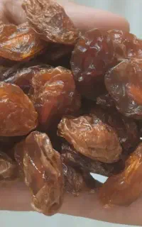 فروش آلوخشک تازه شاهرود