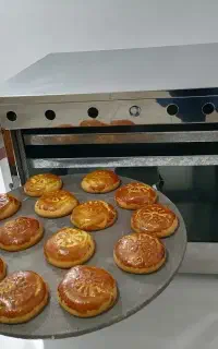 فروش اقساطی تنورگازی خانگی