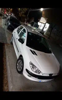 ۲۰۶ بی رنگ خانگی ۹۴ تیپ ۲