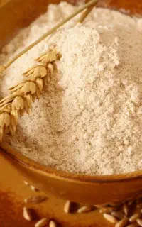 اردجهانبین