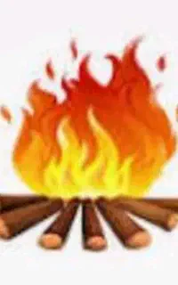 آقای هیزم ، مرکز پخش تبریز و حومه درخت