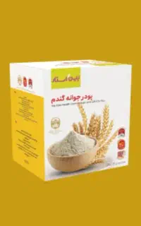 پودجوانه گندم