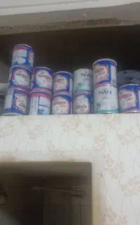 قوطی