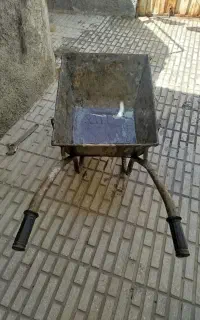 فرغون سالم ، در حد نو