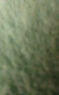شن شسته رایگان