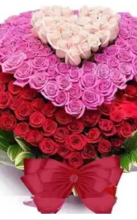 خدمات مجالس و مراسمات