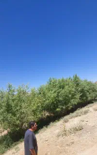 کارگر آشنا با کشاورزی