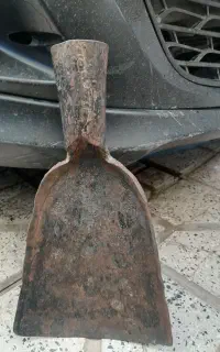 بیل کشاورزی