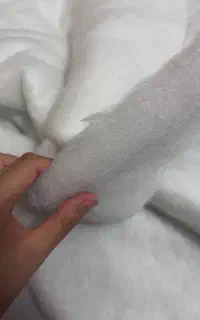 پشم شیشه