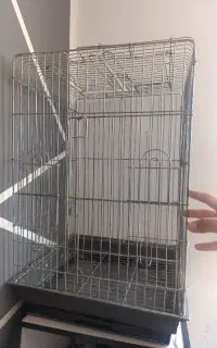 قفس کاسکو