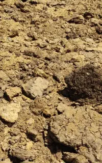 کود درجه یک‌ گاو ،گوسفند ،شتر و اسب