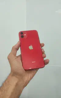 Apple 11