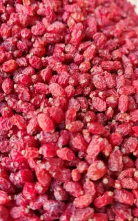 زرشک پفکی زعفران درجه یک قائنات