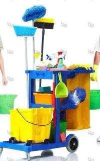 نظافت چی خانم و اقا در اسراع وقت