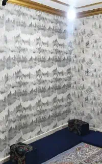 نصب و اجرا انواع کاغذ دیواری و پوستر سه بعدی