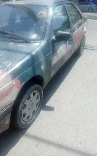 نقاش ماهر