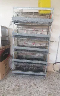 قفس بلدرچین