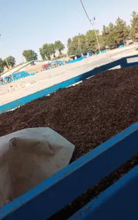 تفاله.سیب