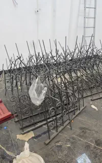 شاخ گوزنی