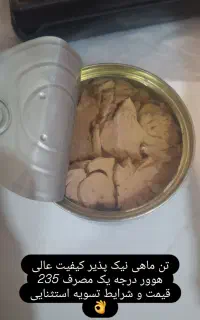 تن هوور نیک پذیر چابهار