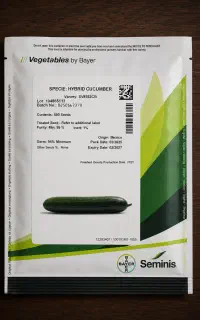 بذر خیار گلخانه ای سمینس(PS64 و 8552)
