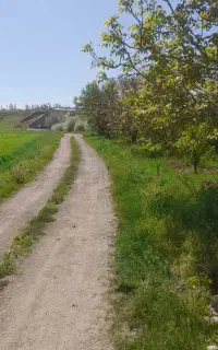 نگهبانی