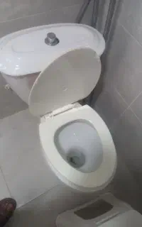 توالت فرنگی چینی