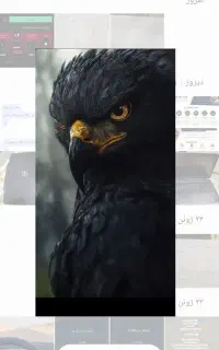 ماشین