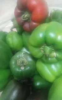 فروش
