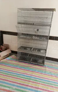 هشت خان اصلی فروشی