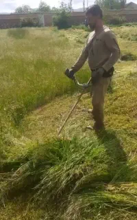 علف زنی چاله کنی  فنس کشی  کار میکنیم