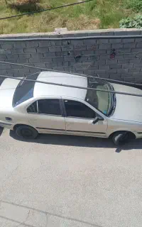 سمند ساده