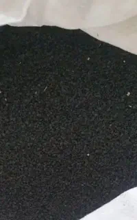 ،،بذرپیاز،،
