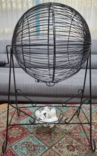 گردون قرعه کشی