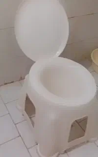 توالت فرنگی