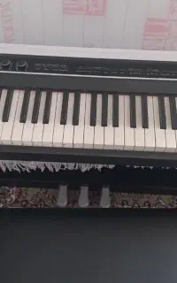 پیانو حرفه ای