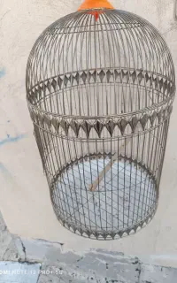 قفس پرنده