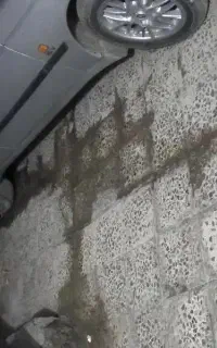 دربستی به تمام نقاط میبرم ادم ثابت وماشین خطی