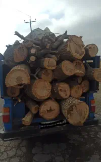 خریدار انواع چوب ضایعات میوه ای و هیزمی