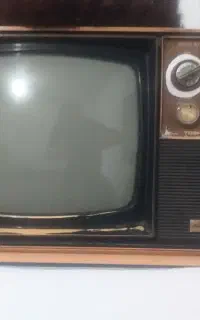 تلوزیون
