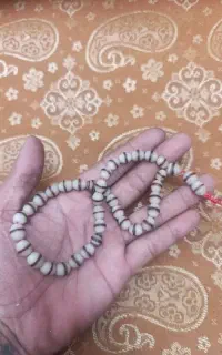 تسبیح هسته خرما وحشی